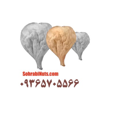 انجیر سایز متوسط | AA