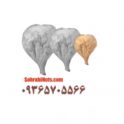 انجیر سایز ریز