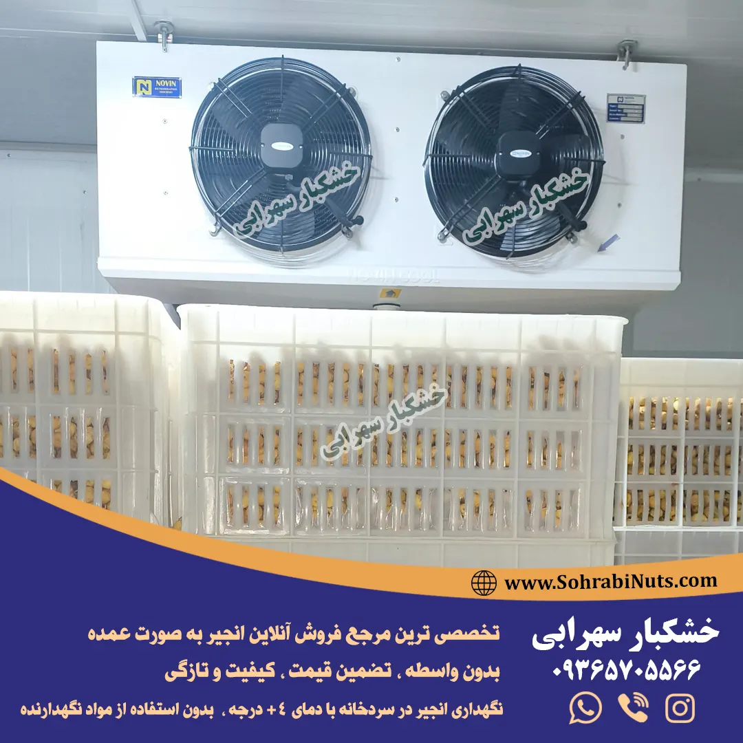 نحوه نگهداری انجیر خشک در سردخانه