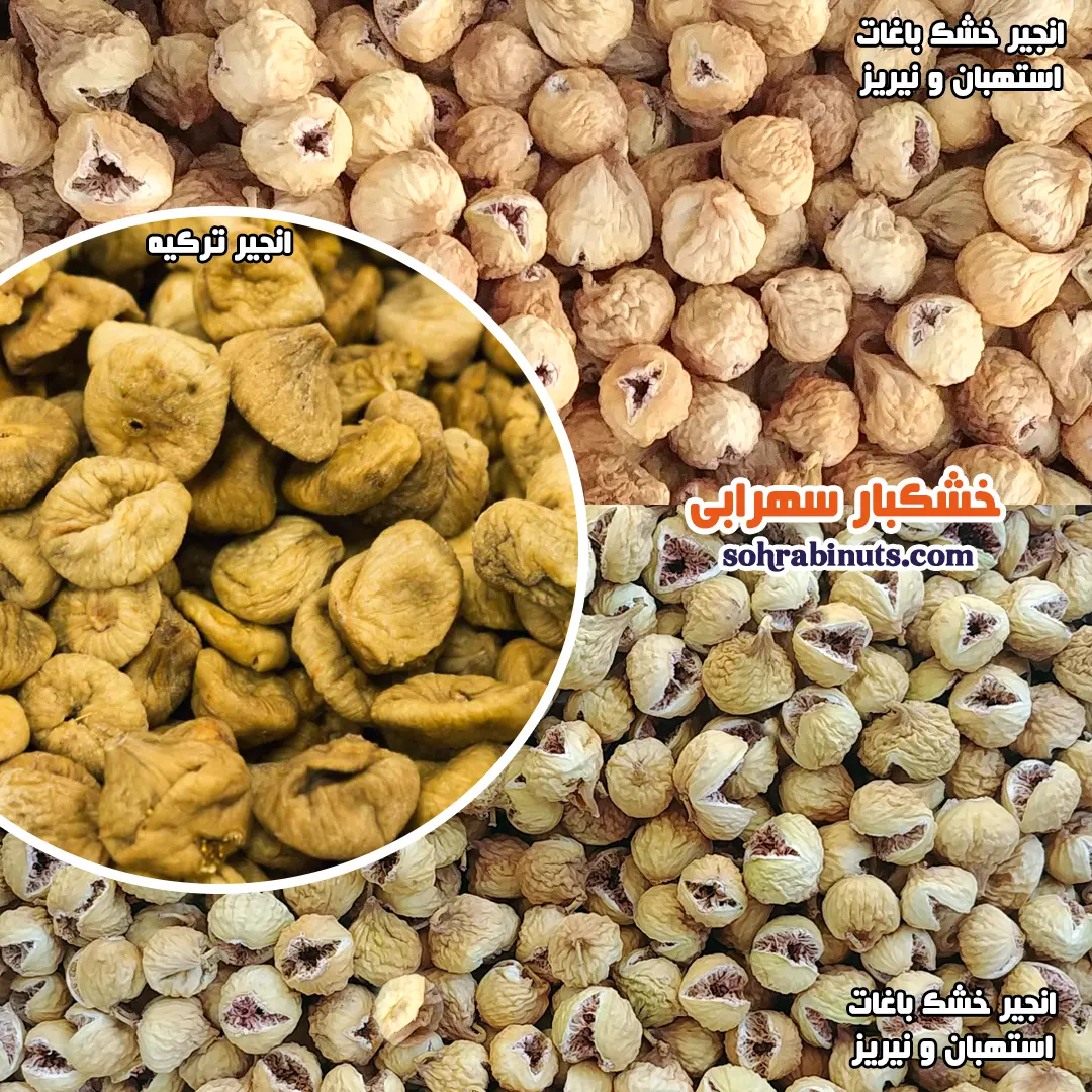مقایسه انجیر خشک ایرانی با انجیر خشک ترکیه