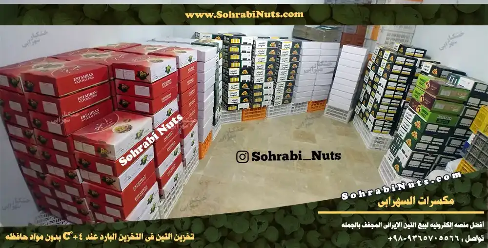 تخزين التين المجفف في التخزين البارد، مستودع التين المجفف، شراء التين المجفف الإيراني