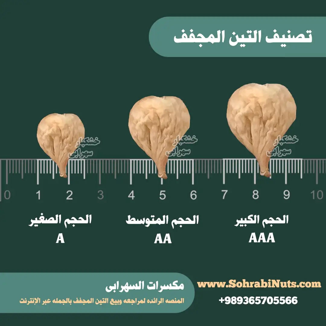 **تصنيف أحجام التين المجفف | تين صغير، تين متوسط، تين كبير**