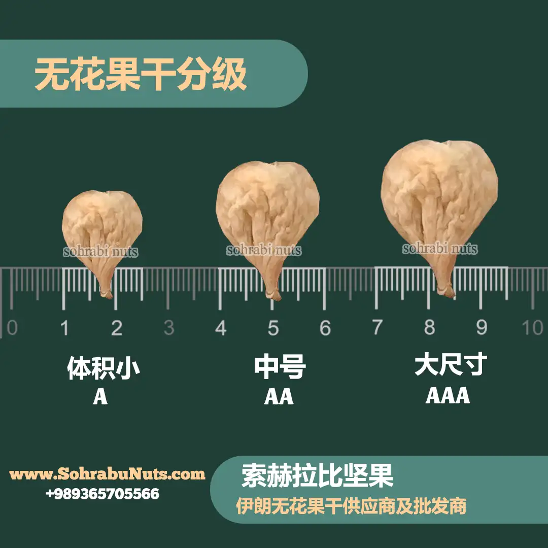 干无花果的不同规格