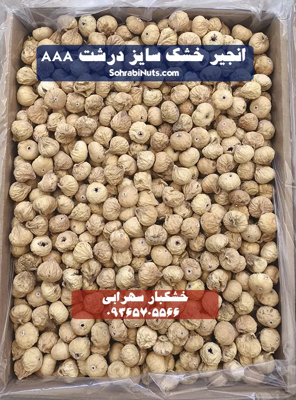 خرید انجیر | انجیر خشک سایز درشت یا انجیر AAA