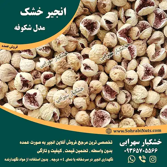 انجیر شکوفه | انجیر پرک 