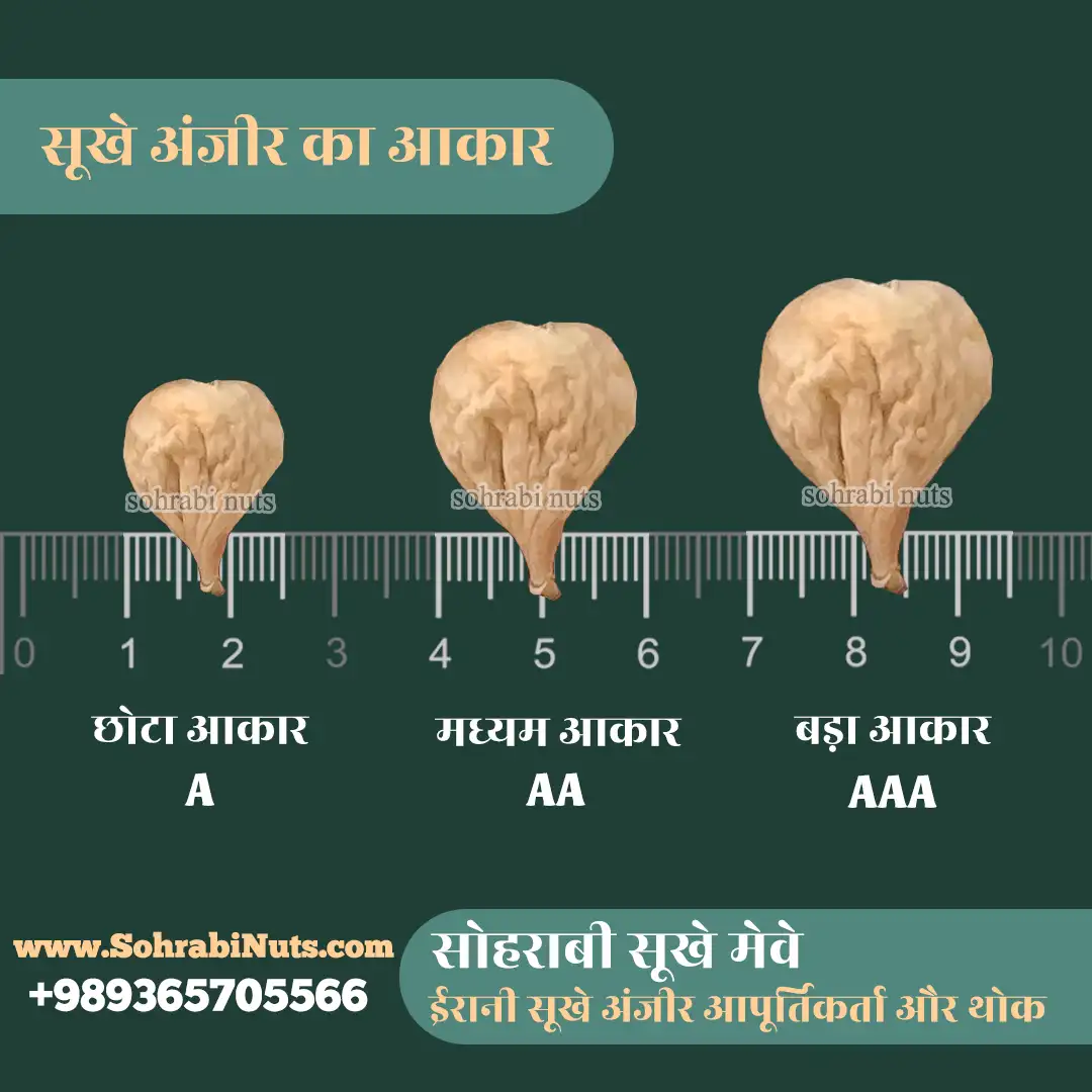 सूखे अंजीर का आकार