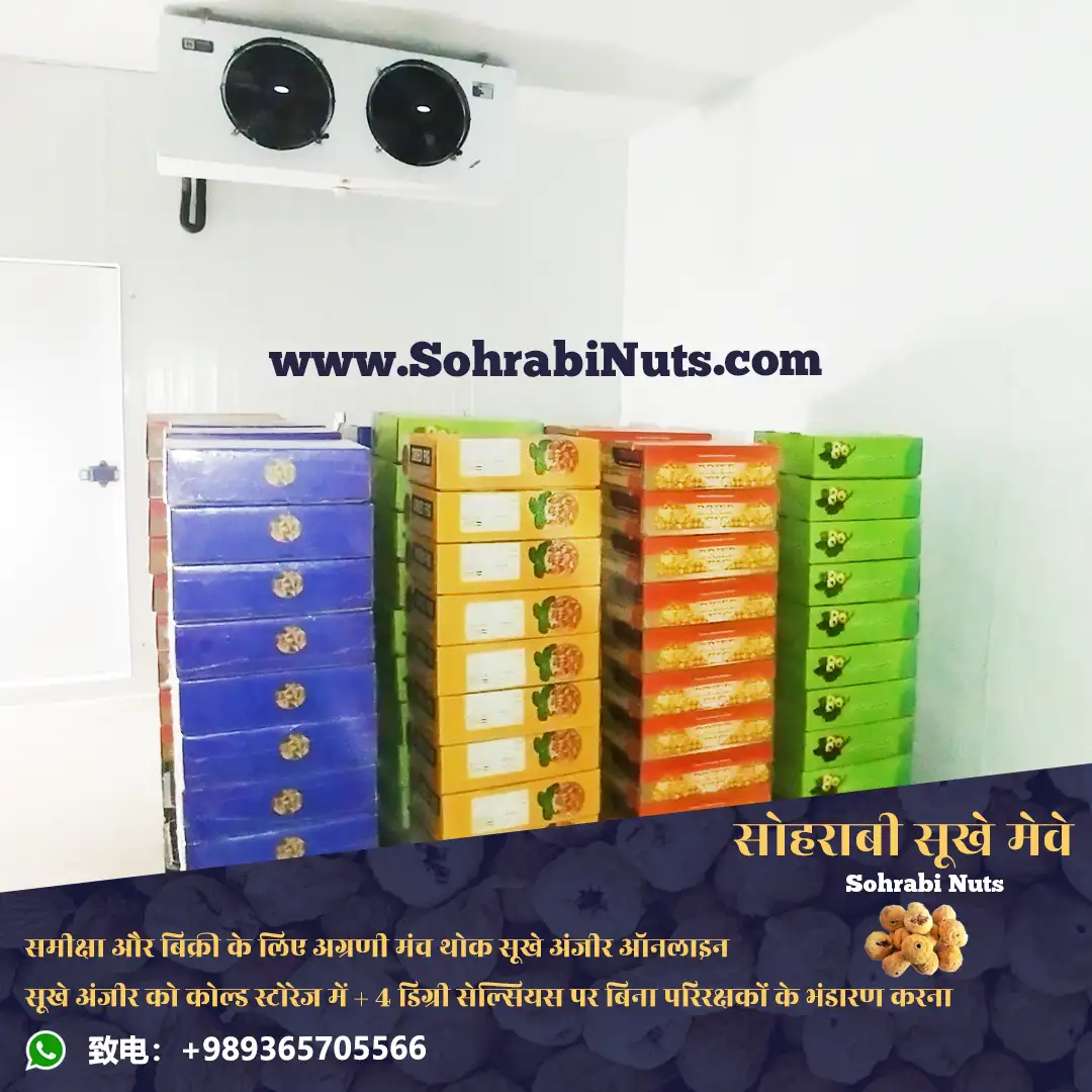सूखे अंजीर कोल्ड स्टोरेज