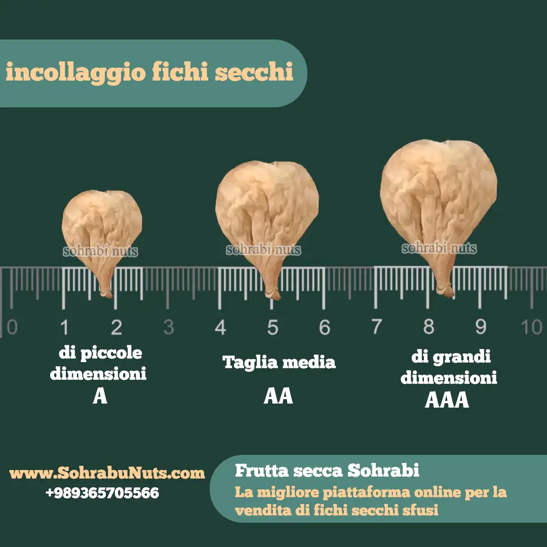 incollaggio fichi secchi