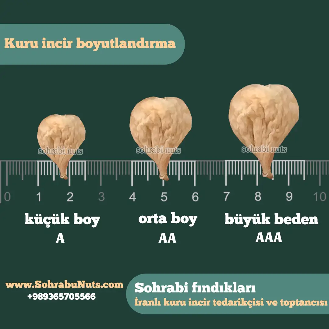 Kuru incir boyutlandırma