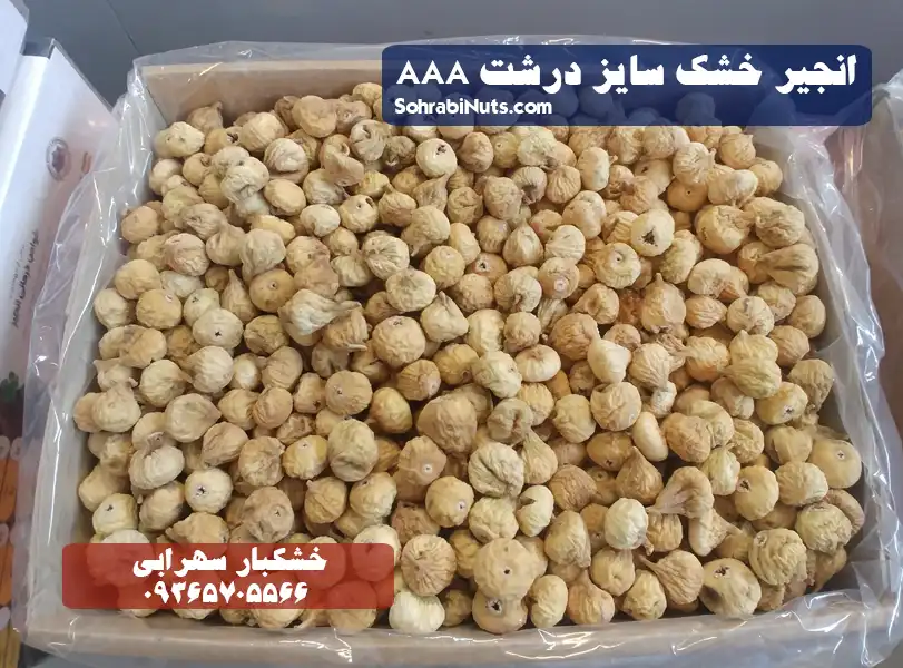 خرید انجیر | انجیر خشک سایز درشت یا انجیر AAA انجیر خشک سایز درشت یا انجیر AAA