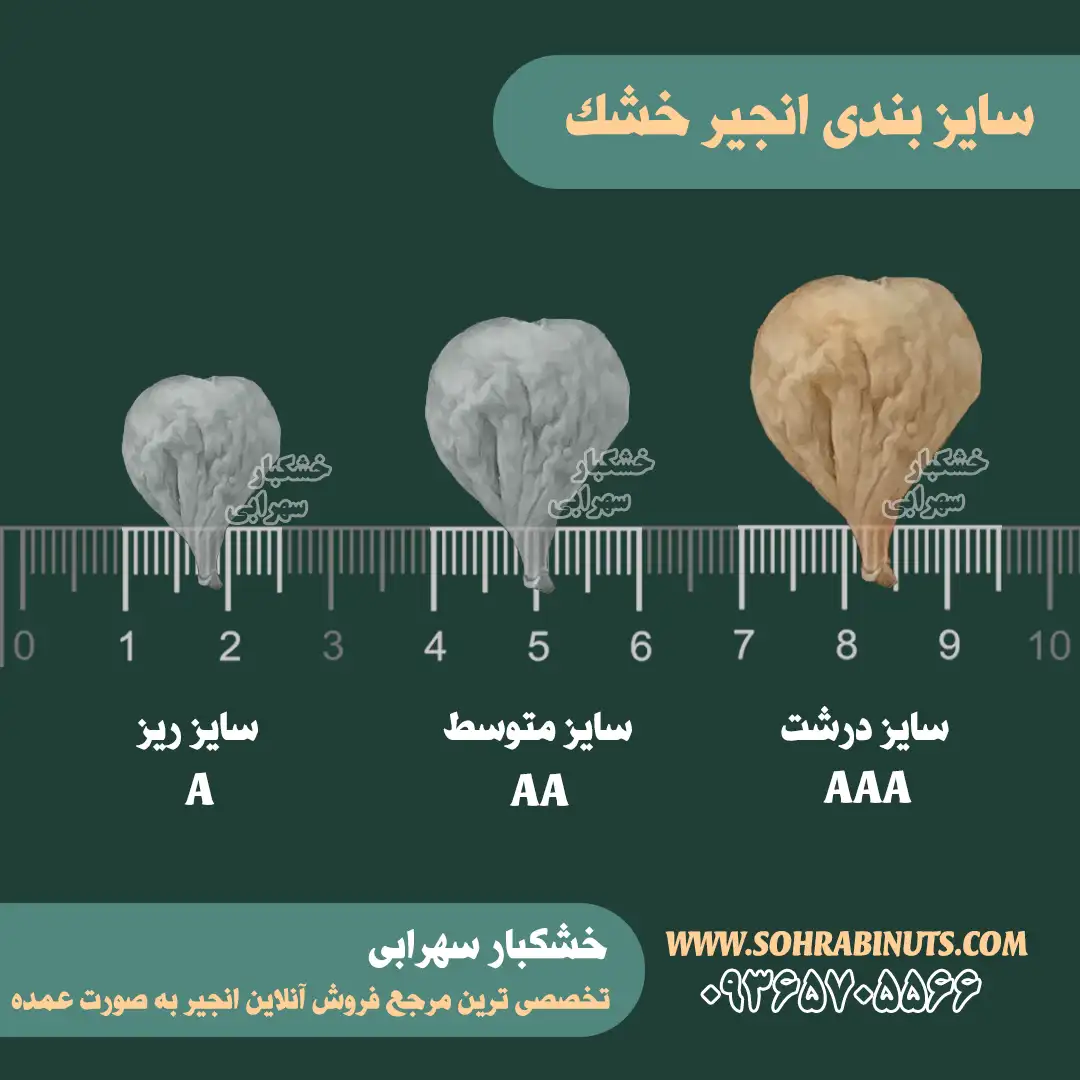 خرید انجیر سایز درشت | خرید انجیر aaa خرید انجیر سایز درشت | خرید انجیر aaa