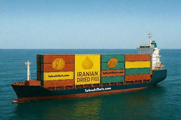 تجارت و صادرات انجیر خشک انجیر خشک از اقلام صادراتی خشکبار به حساب می آید