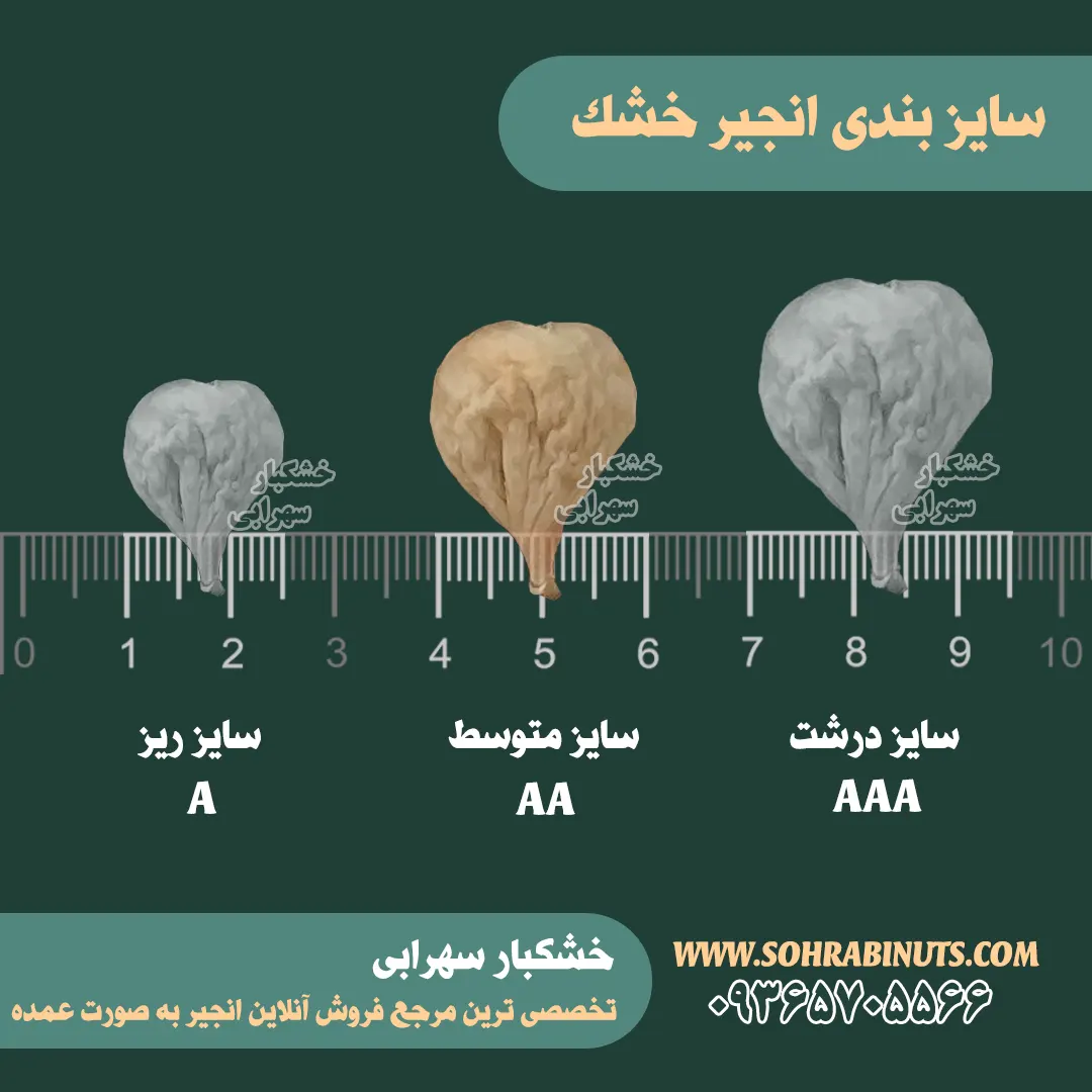 خرید انجیر | سایز متوسط aa خرید انجیر | سایز متوسط aa