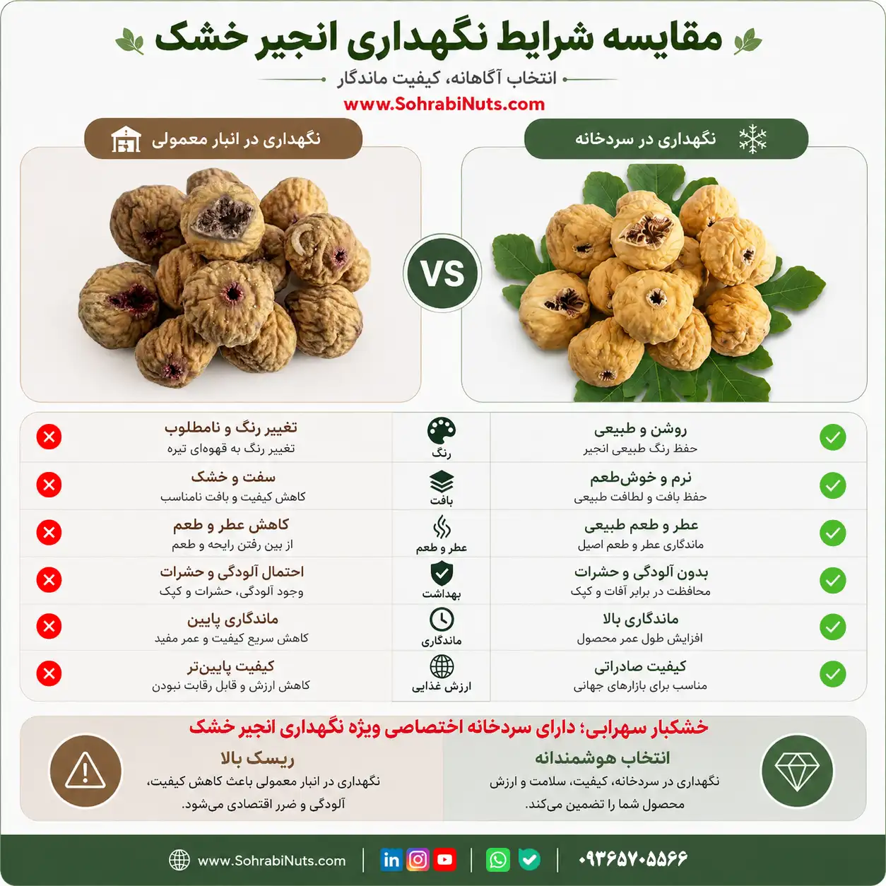 نگهداری انجیر خشک در سردخانه باعث حفظ کیفیت و تازگی محصول میشود