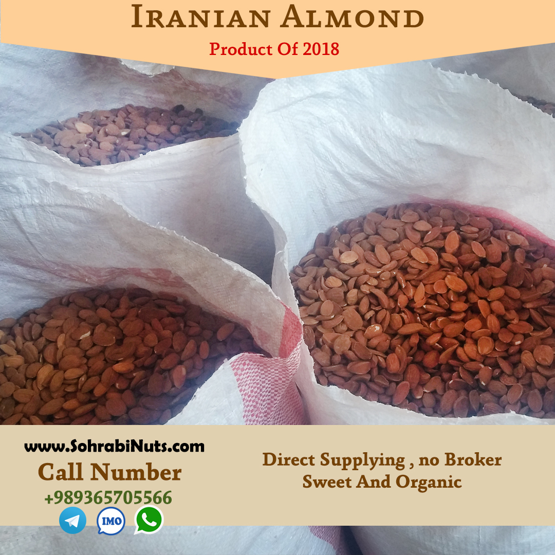 Iranian almond kernel | Grade 1